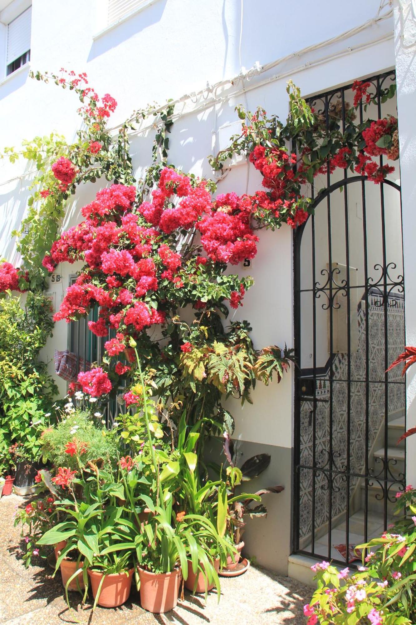 Casa Magallanes Conil Conil De La Frontera Exterior foto